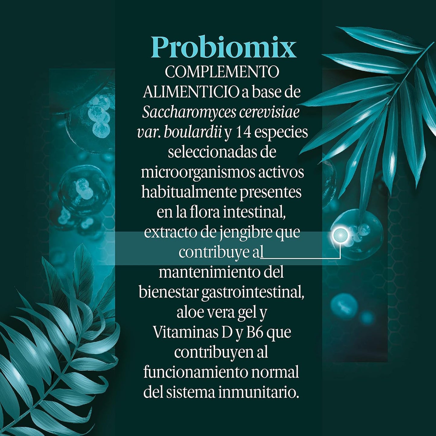 BLACK BEE PROBIOMIX JENGIBRE 10 CAPSULAS