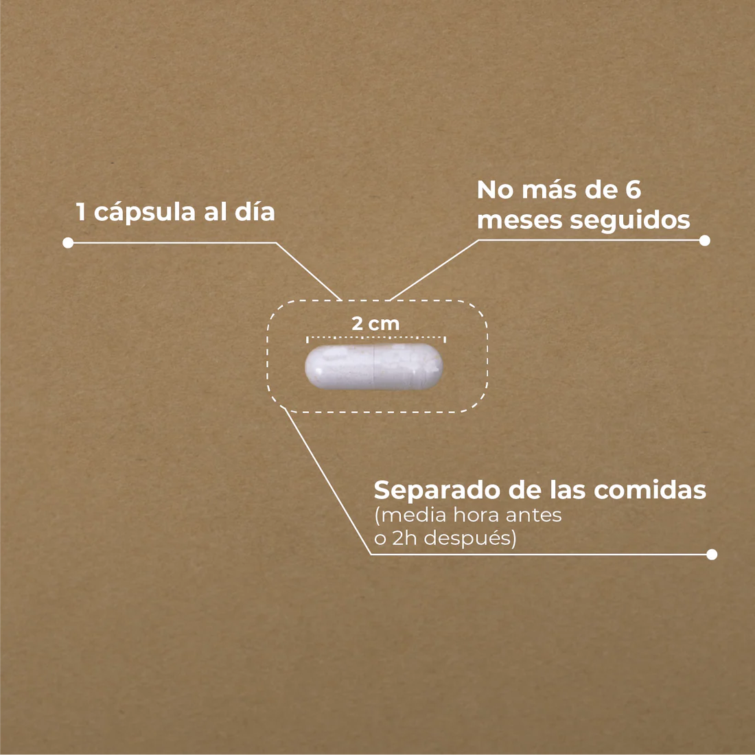 ACIDO ALFA LIPOICO 60 CAPSULAS KOBHO