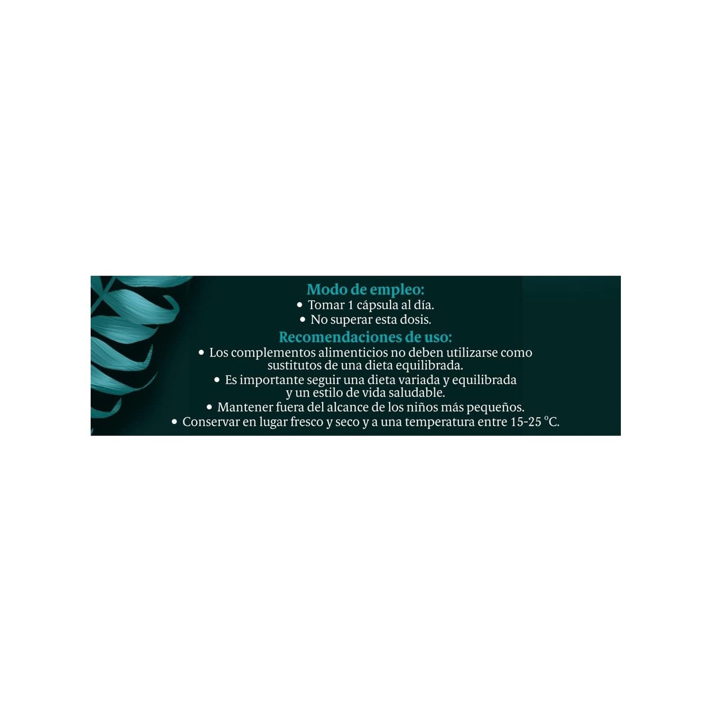 BLACK BEE PROBIOMIX JENGIBRE 10 CAPSULAS
