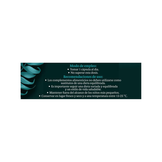 BLACK BEE PROBIOMIX JENGIBRE 10 CAPSULAS