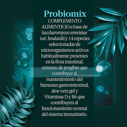 BLACK BEE PROBIOMIX JENGIBRE 10 CAPSULAS