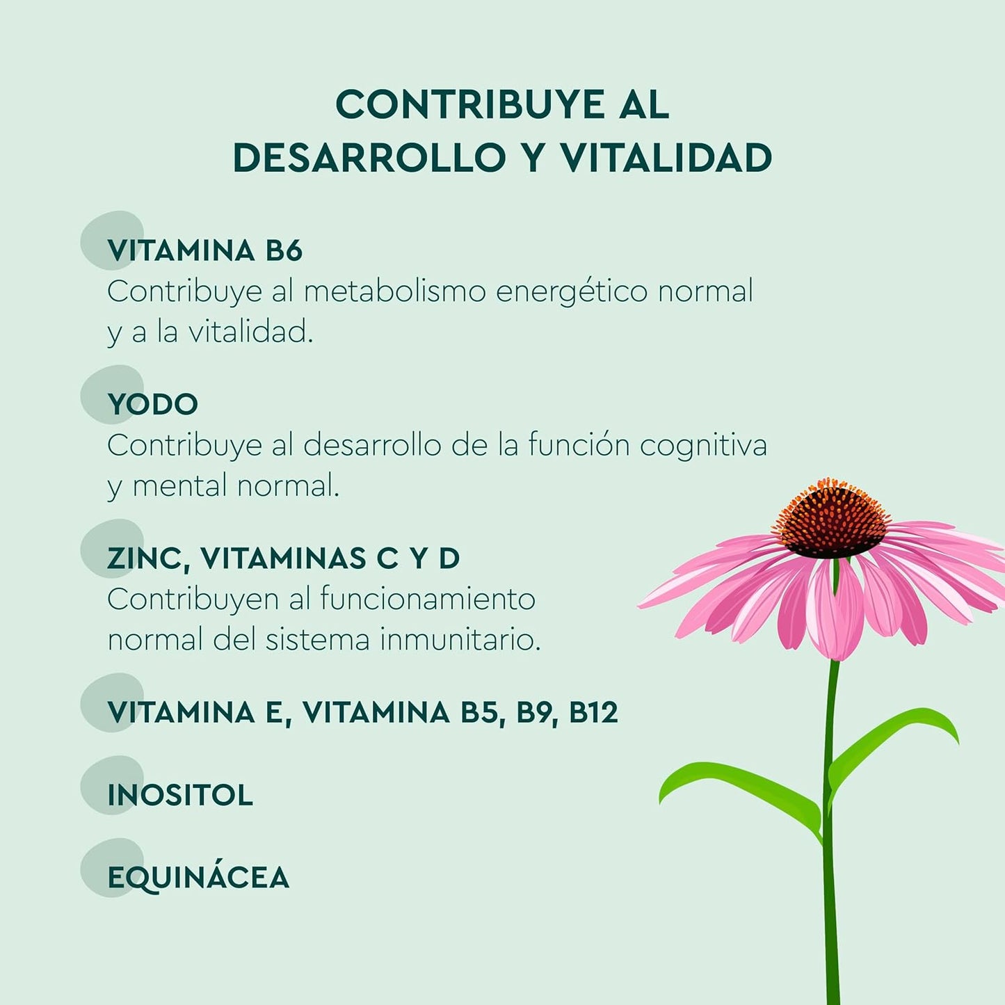 KNEIPP NIÑOS MULTIVITAMINICO 30 GUMMIES FRESA