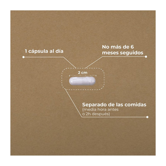 KOBHO AC ALPHA PIPOICO 60 CAPSULAS