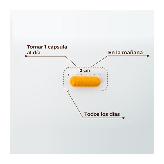 KOBHO CURCUMA+PIMIENTA NEGRA 60 CAPSULAS