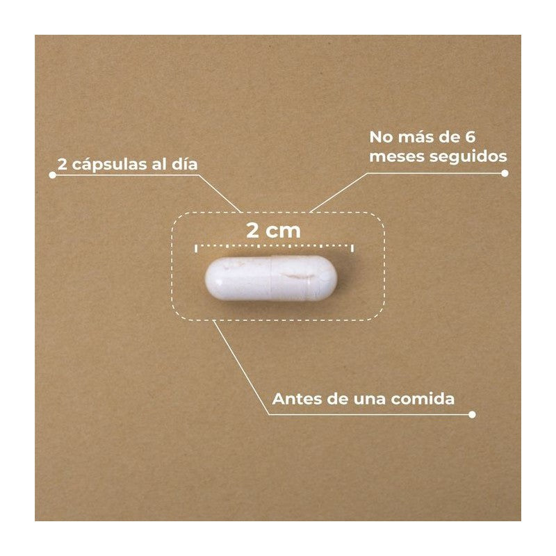 PRE POST PROBIOTIC KOBHO 60 CAPSULAS