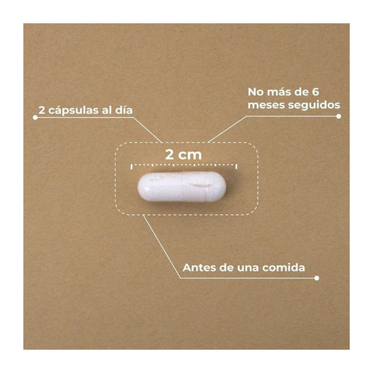 PRE POST PROBIOTIC KOBHO 60 CAPSULAS