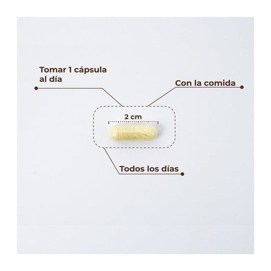 KOBHO TRANS RESVERATROL+QUERCETINA 60 CAPSULAS