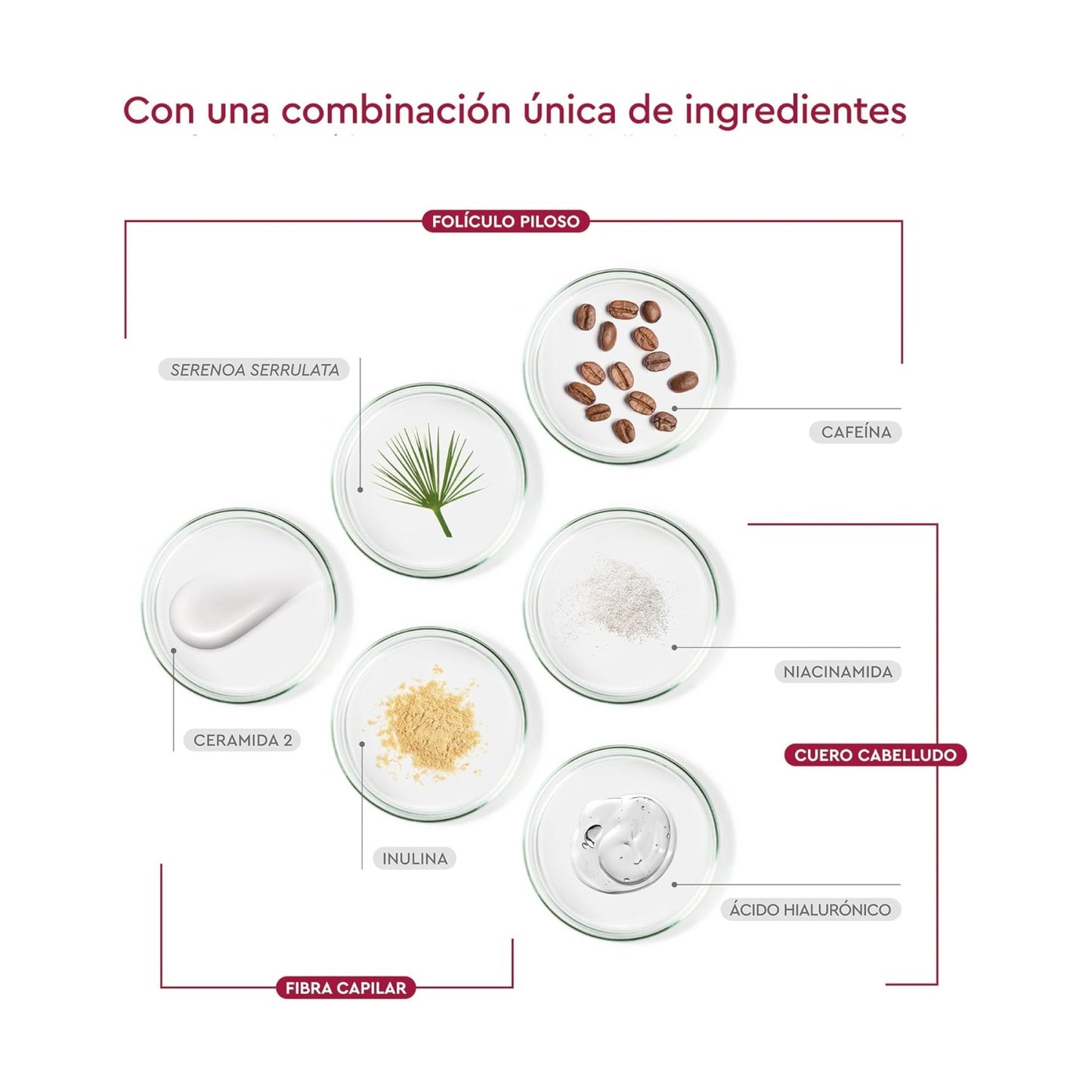 PILEXIL ANTICAIDA CHAMMPU TRIPLE 450 ML