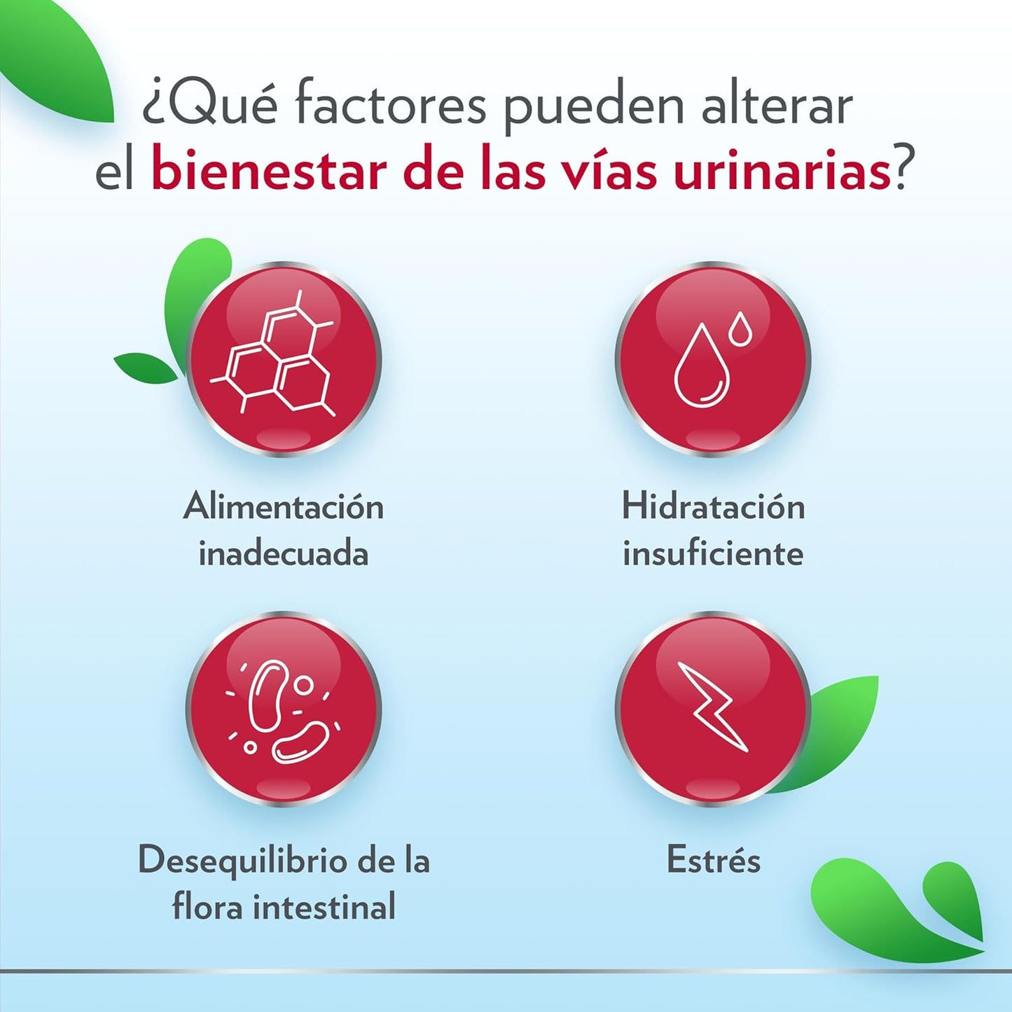 GINECANES CYSTIL 14 SOBRES