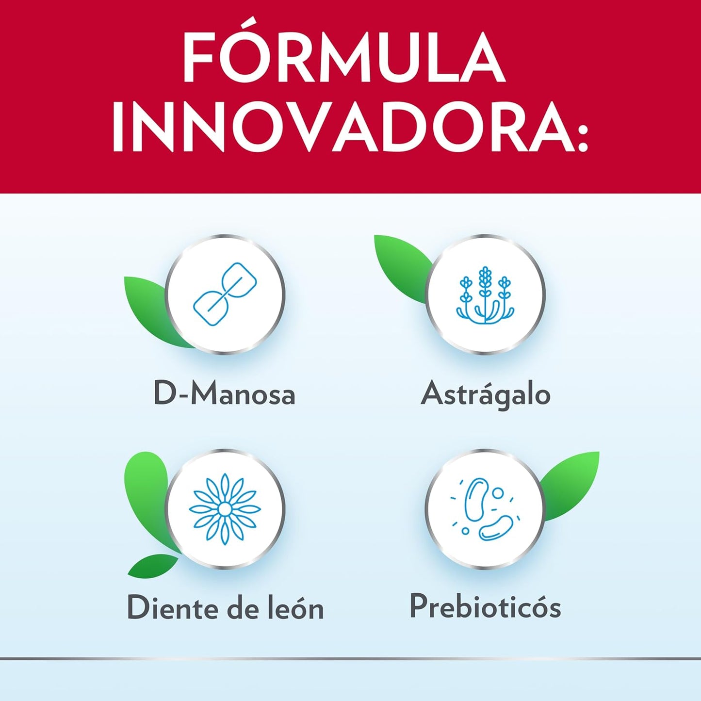 GINECANES CYSTIL 14 SOBRES