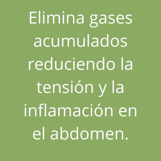 BENSANIA GASTROLIV GASES 60 COMPR