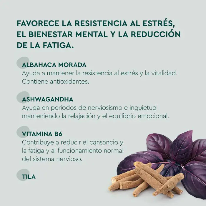 KNEIPP ESTRES 60 GUMMIES CEREZA
