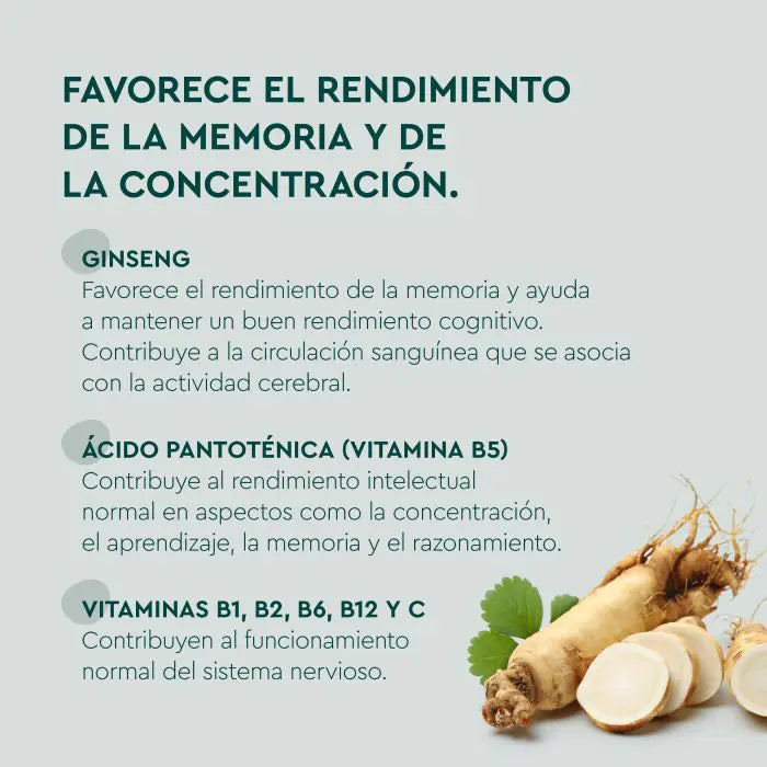 KNEIPP MEMORIA 60 GUMMIES SABOR PIÑA