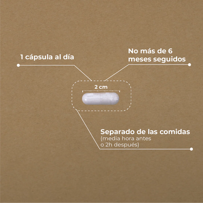 ACIDO ALFA LIPOICO 60 CAPSULAS KOBHO