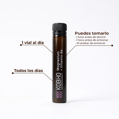 DUPLO MAGNESIO+VITAMINA B6  2X20 VIALES
