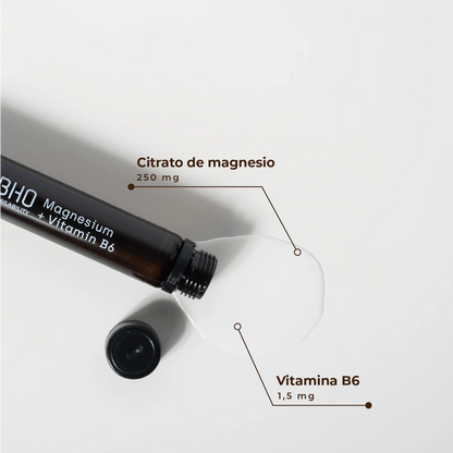 DUPLO MAGNESIO+VITAMINA B6  2X20 VIALES