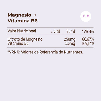 DUPLO MAGNESIO+VITAMINA B6  2X20 VIALES